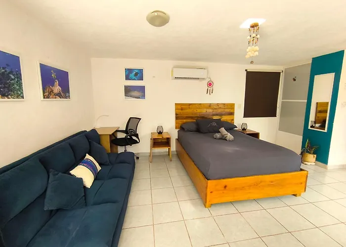 Equipped Yaxkin Studio On Downtown, 3 Blocks Away From Sea, Close To Restaurants