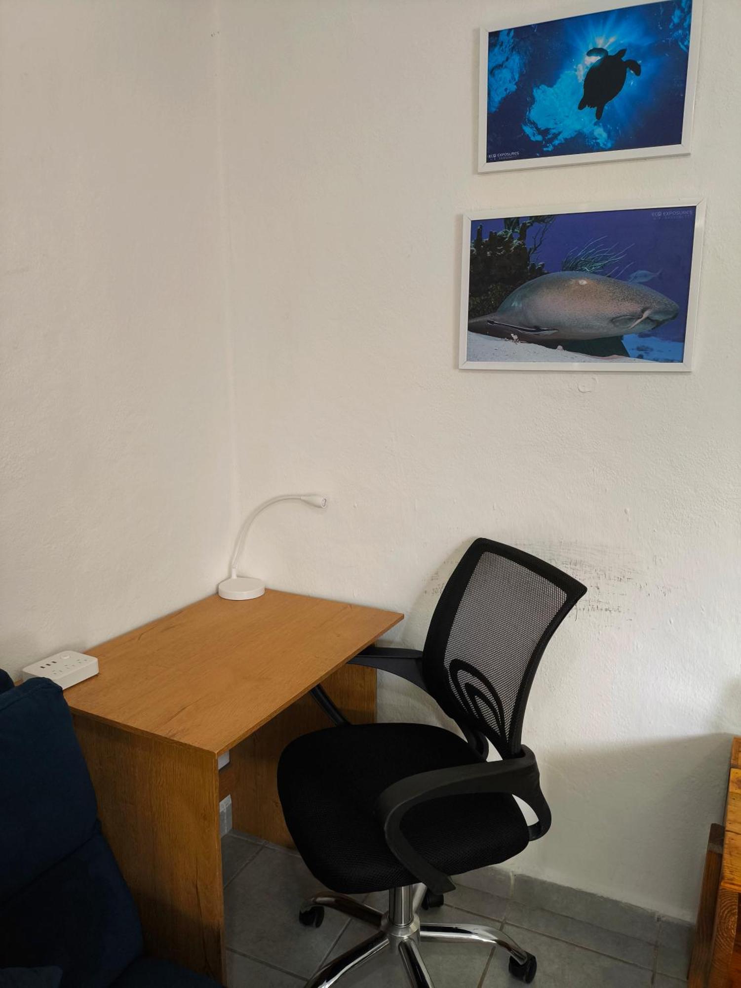 Appartement Equipped Yaxkin On Downtown, 3 Blocks Away From Sea, Close To Restaurants Cozumel