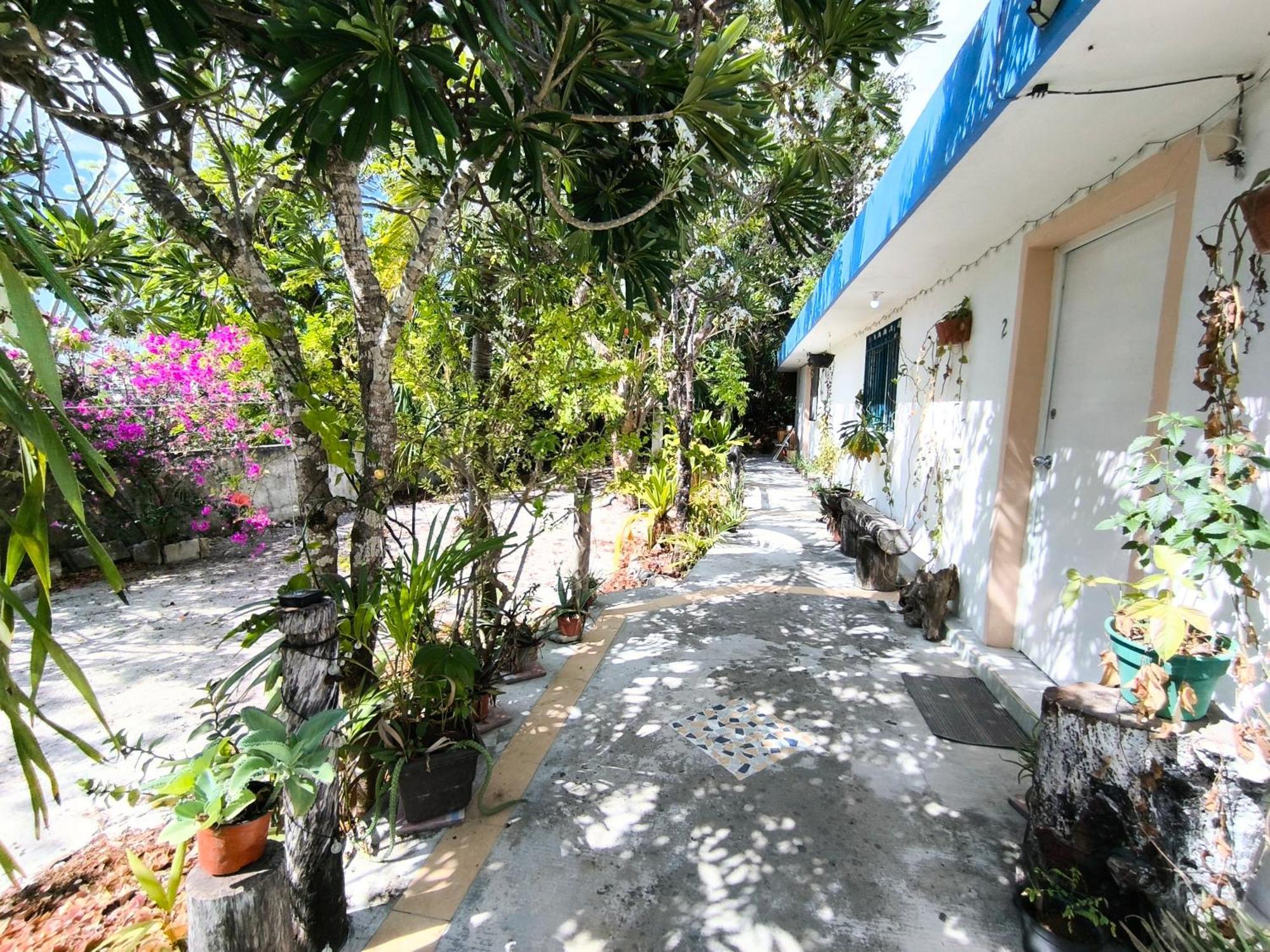 Equipped Yaxkin On Downtown, 3 Blocks Away From Sea, Close To Restaurants