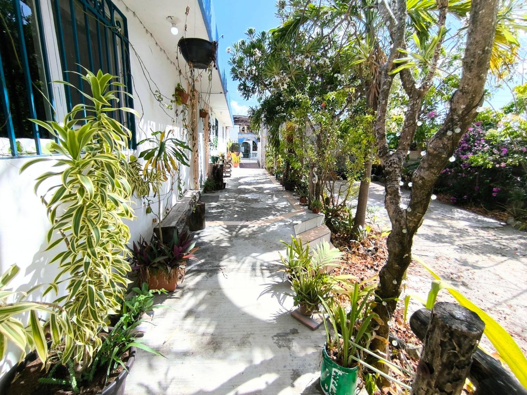 Equipped Yaxkin On Downtown, 3 Blocks Away From Sea, Close To Restaurants Cozumel