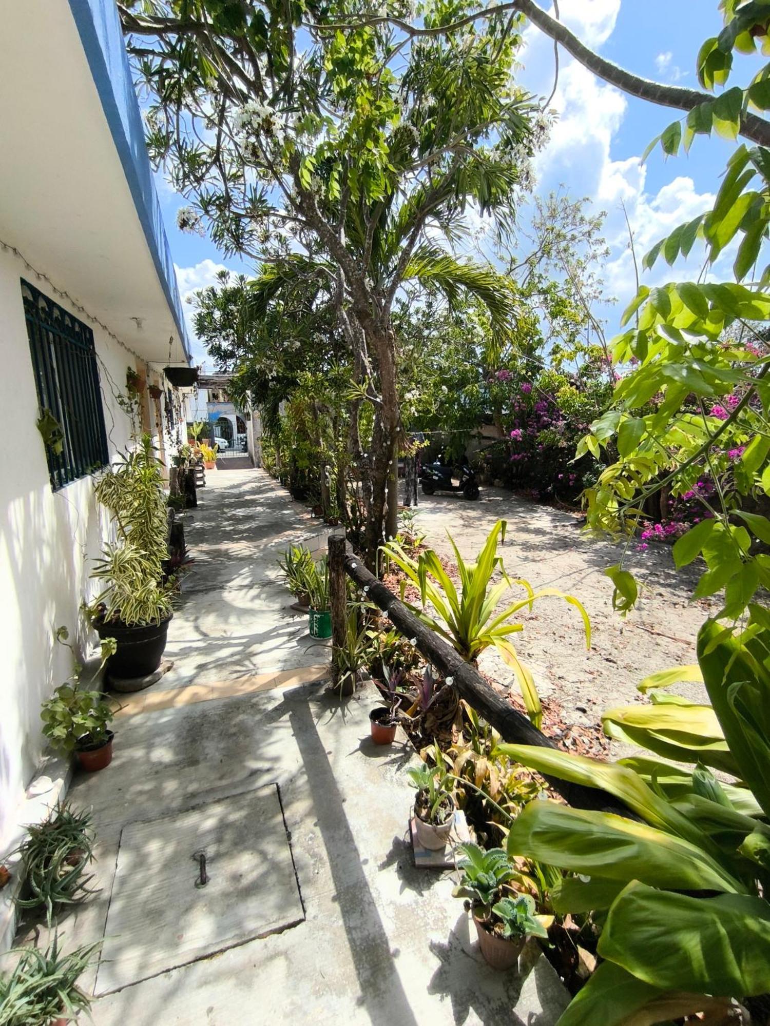 Appartement Equipped Yaxkin On Downtown, 3 Blocks Away From Sea, Close To Restaurants